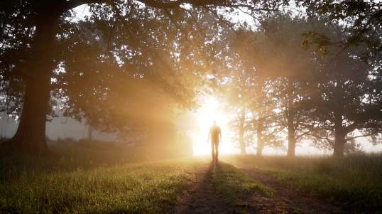 YLM-into-the-light YLM-into-the-light